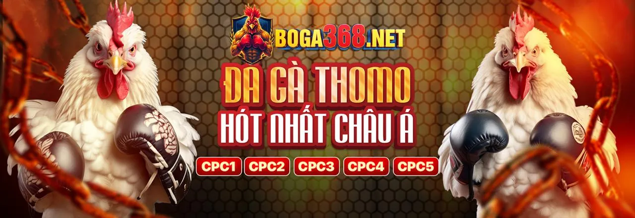 Đá gà trực tuyến Winbet79, trận đấu kịch tính