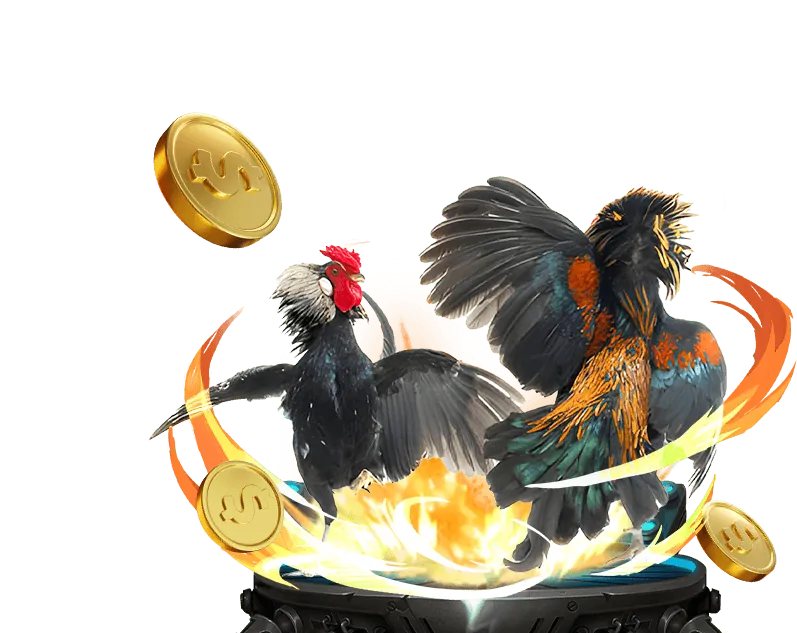 Cược Hòa tại Winbet79
